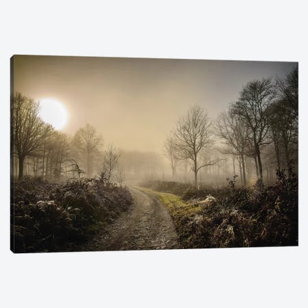 Misty Morning Canvas Print #MGM17} by Mark Gemmell Canvas Wall Art
