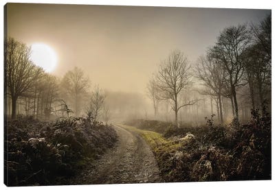 Misty Morning Canvas Art Print - Trail, Path & Road Art