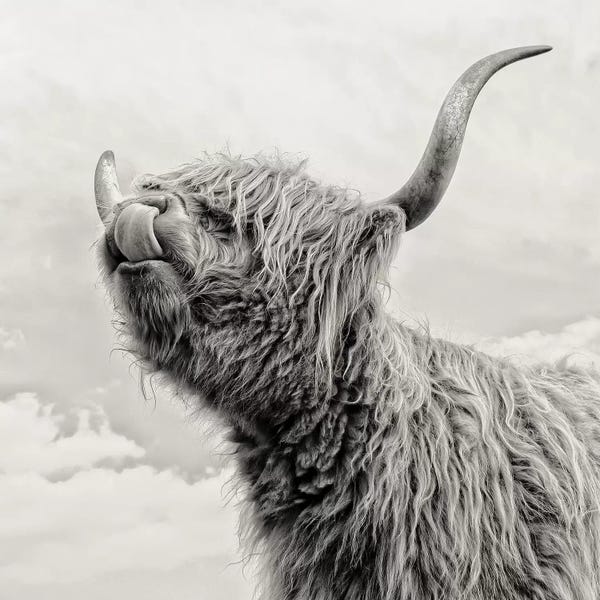 Modern Farmhouse Décor: Spring Air I by Mark Gemmell