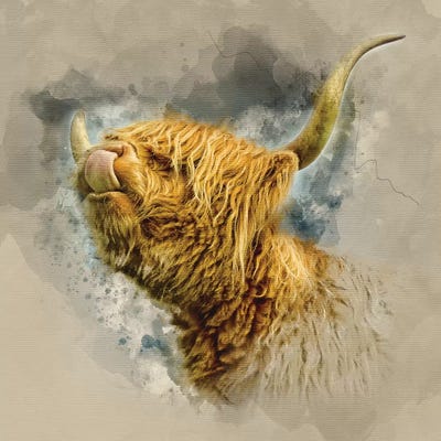 Spring Air II by Mark Gemmell framed canvas print