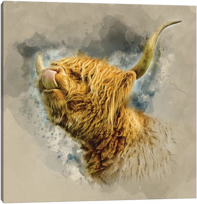 Spring Air II Canvas Art Print - Highland Cow Art