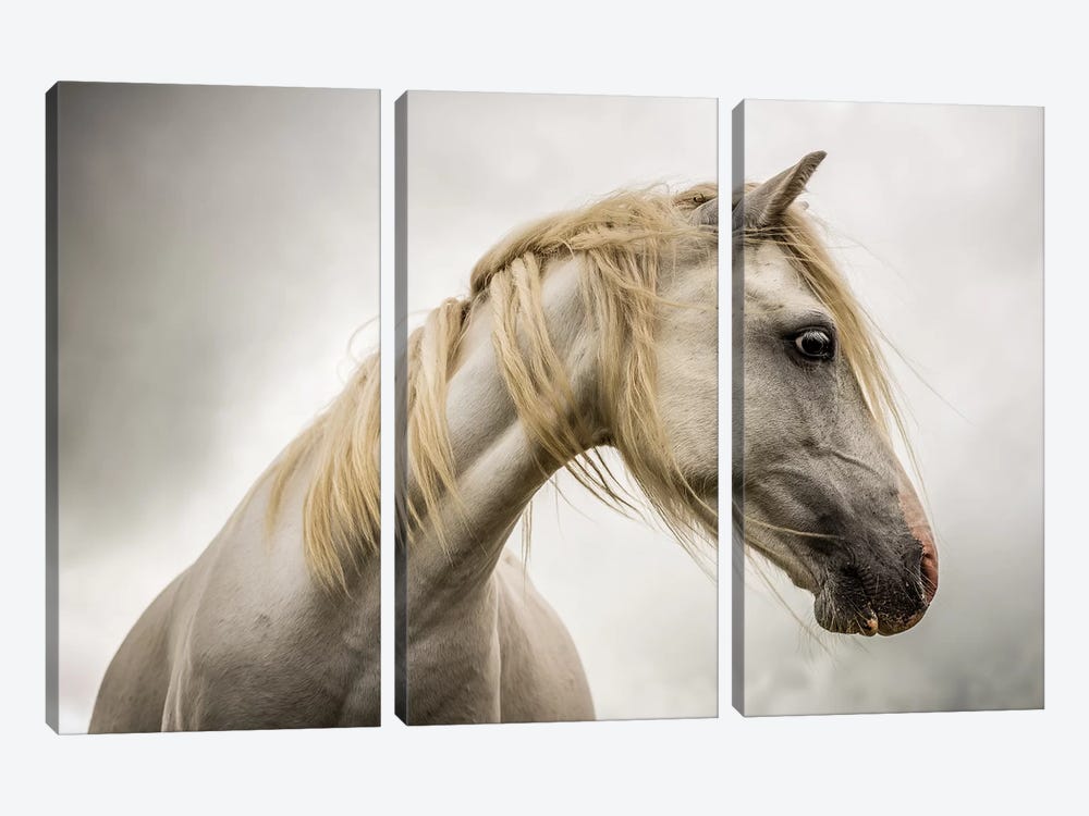 White Horse by Mark Gemmell 3-piece Art Print