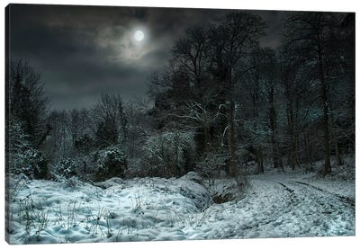 Winter Moon Canvas Art Print - Atmospheric Photography