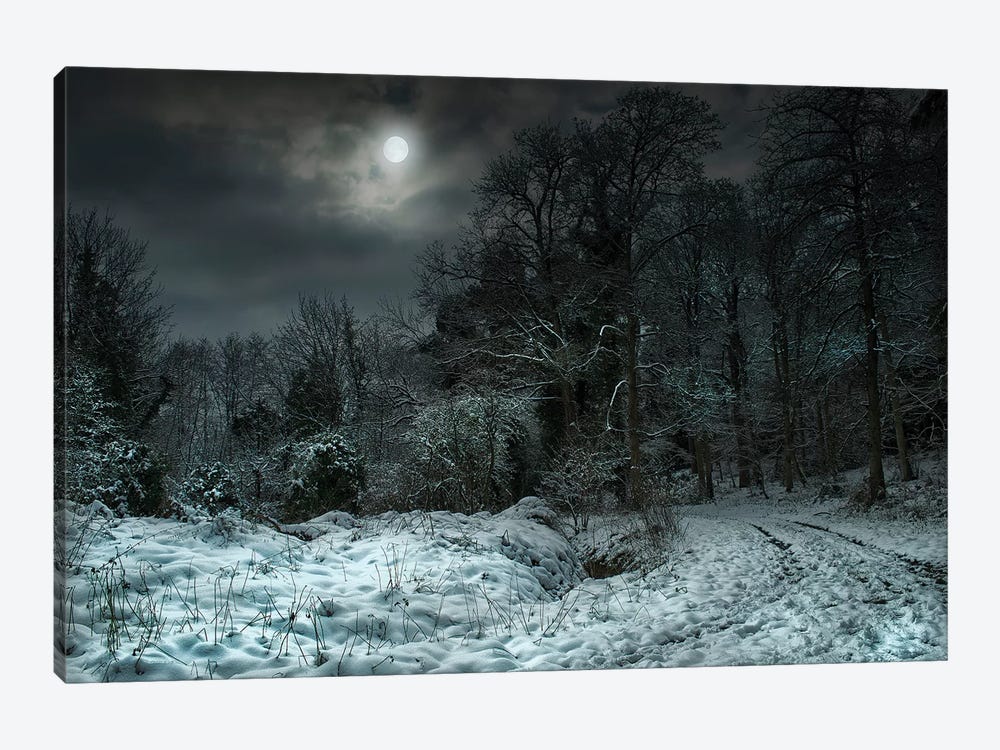 Winter Moon by Mark Gemmell 1-piece Canvas Art