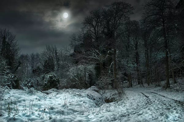 Atmospheric Photography: Winter Moon by Mark Gemmell