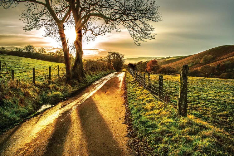 Homeward Bound by Mark Gemmell wall art