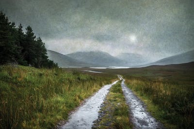 Long Walk Home by Mark Gemmell acrylic art print
