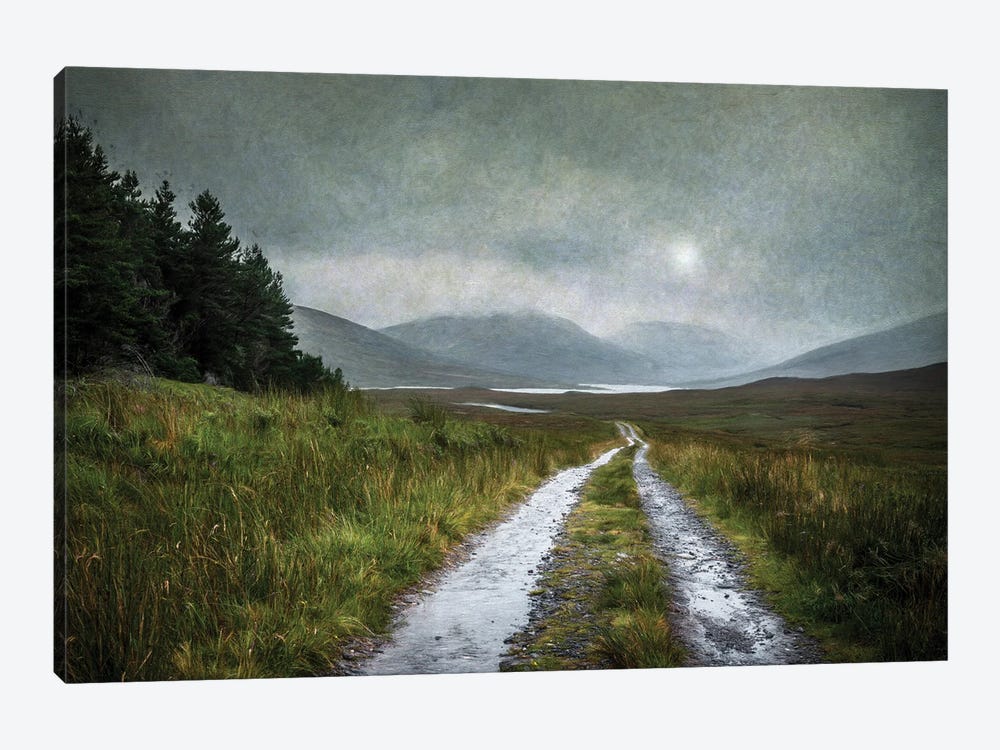 Long Walk Home by Mark Gemmell 1-piece Art Print