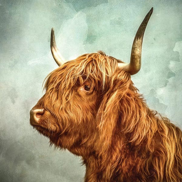 Modern Farmhouse Living Room: Contemplate by Mark Gemmell