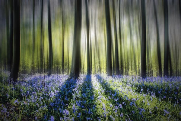 Atmospheric Photography: Blue Haze by Mark Gemmell