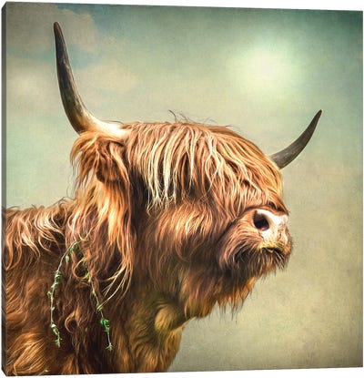 Fringe Canvas Art Print - Highland Cow Art