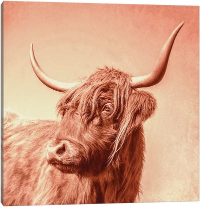 Red Canvas Art Print - Highland Cow Art