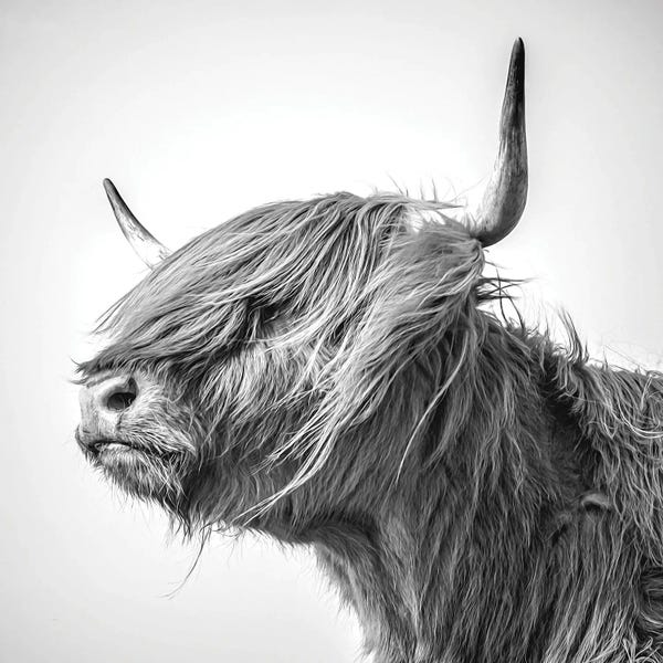 Kitchen: Katie by Mark Gemmell