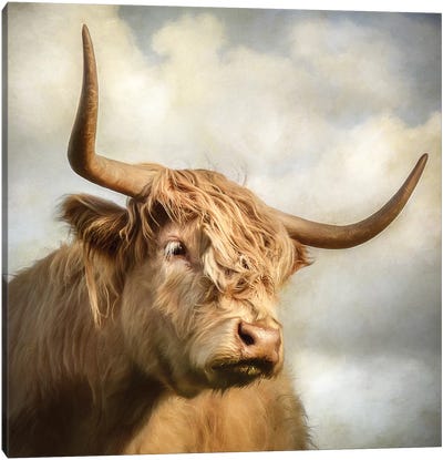Cow Canvas Art Print - Mark Gemmell
