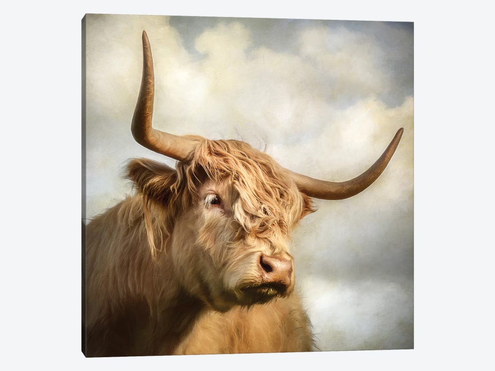 Cow by Mark Gemmell 1-piece Canvas Art