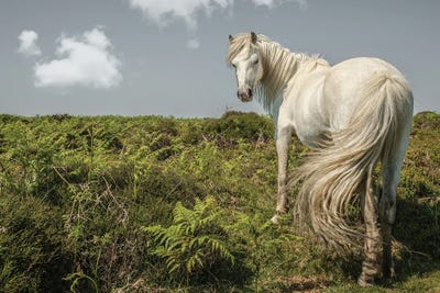 Swish by Mark Gemmell acrylic art print