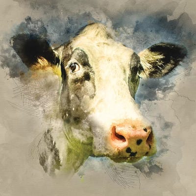 Fresian II by Mark Gemmell canvas print