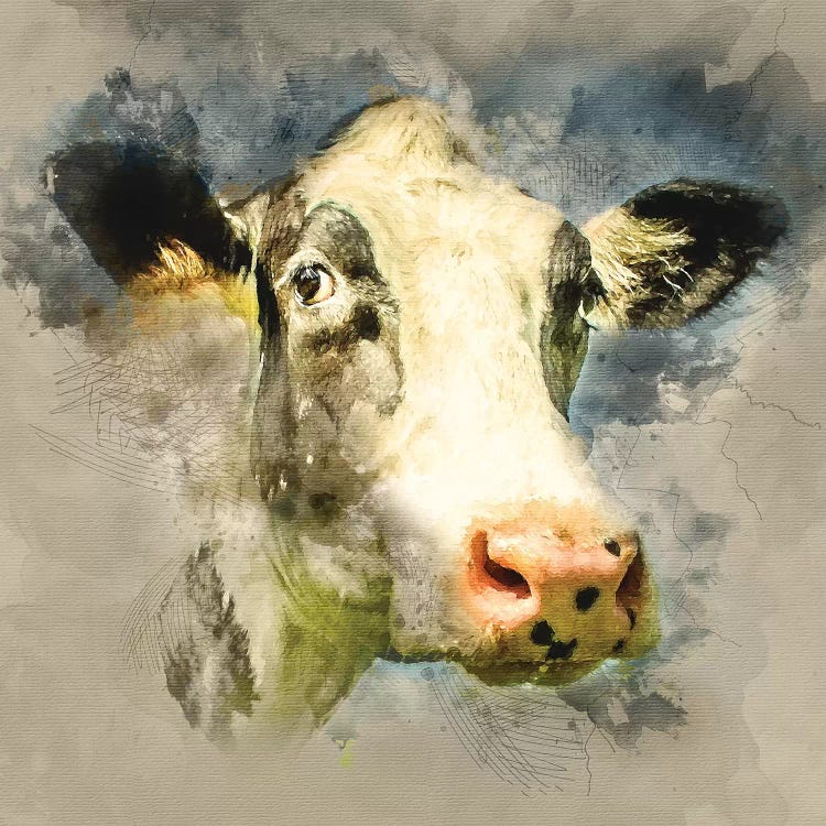Fresian II by Mark Gemmell wall art