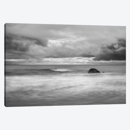 Timeless Canvas Print #MGN5} by Keith Morgan Canvas Artwork