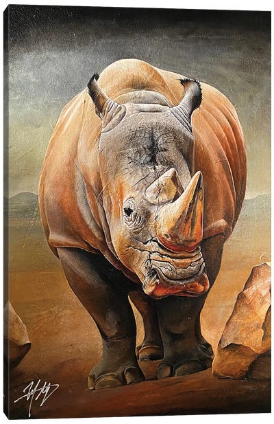 Black Rhino Canvas Art Print - Michael Goldzweig