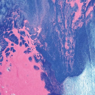 Pink Sky by Michael Goldzweig canvas print