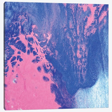 Pink Sky Canvas Print #MGO12} by Michael Goldzweig Canvas Print