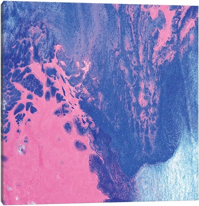 Pink Sky Canvas Art Print - Michael Goldzweig