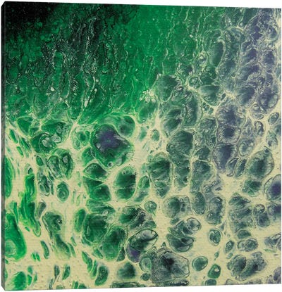 Purple Jade Canvas Art Print - Michael Goldzweig