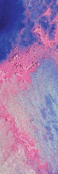 Michael Goldzweig: Reunion by Michael Goldzweig