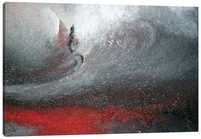 Detail Of Center, Winter Storm Canvas Art Print - Michael Goldzweig