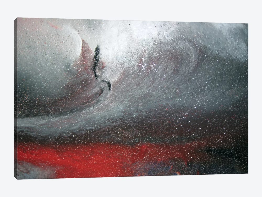 Detail Of Center, Winter Storm by Michael Goldzweig 1-piece Canvas Print