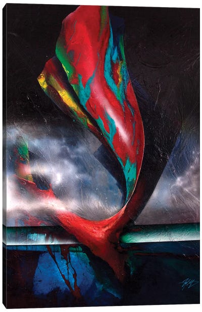 The Whale Canvas Art Print - Michael Goldzweig