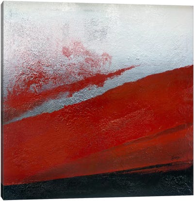 Shades Of Red Canvas Art Print - Michael Goldzweig