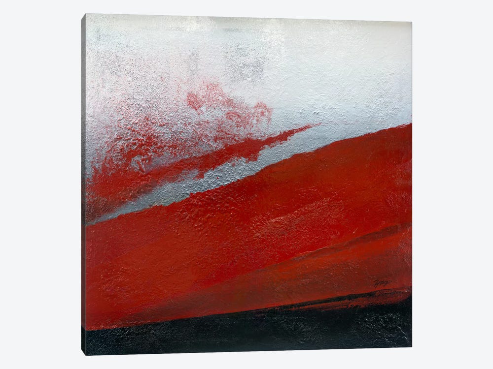Shades Of Red by Michael Goldzweig 1-piece Canvas Art Print