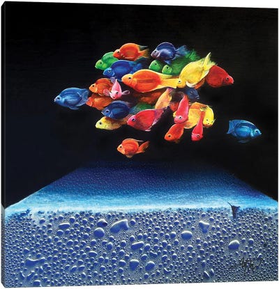 Colored Fish Canvas Art Print - Michael Goldzweig