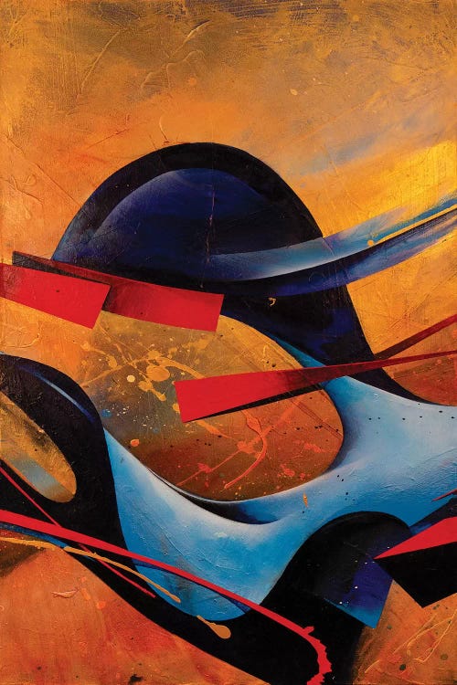 Whirling Dervish II by Michael Goldzweig wall art