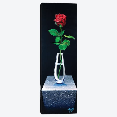 Forever Rose Canvas Print #MGO85} by Michael Goldzweig Canvas Print