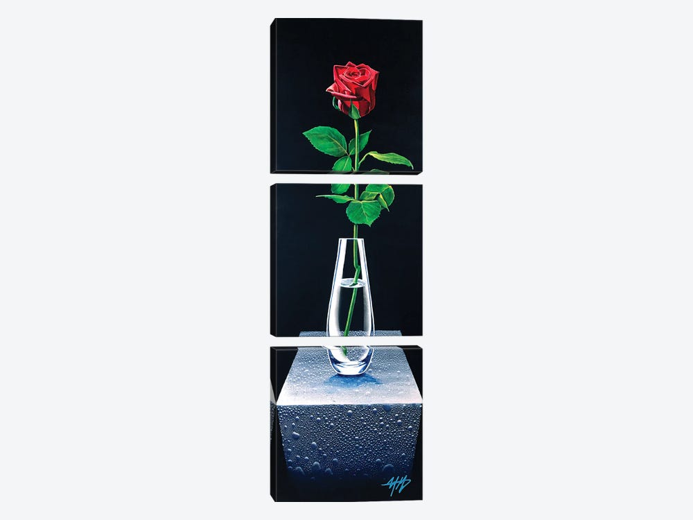 Forever Rose by Michael Goldzweig 3-piece Canvas Artwork