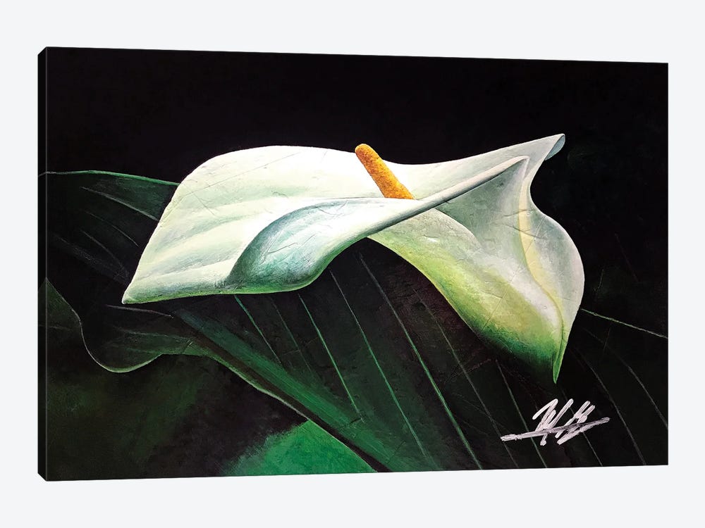 Lily by Michael Goldzweig 1-piece Art Print