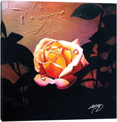 Summer Rose Canvas Art Print - Michael Goldzweig