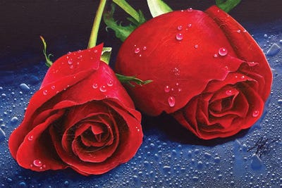 Two Roses by Michael Goldzweig metal wall art