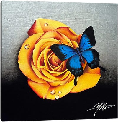 Rose And Butterfly Canvas Art Print - Michael Goldzweig