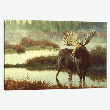 Moose Canvas Print #MGU12} by Jan Martin Mcguire Art Print
