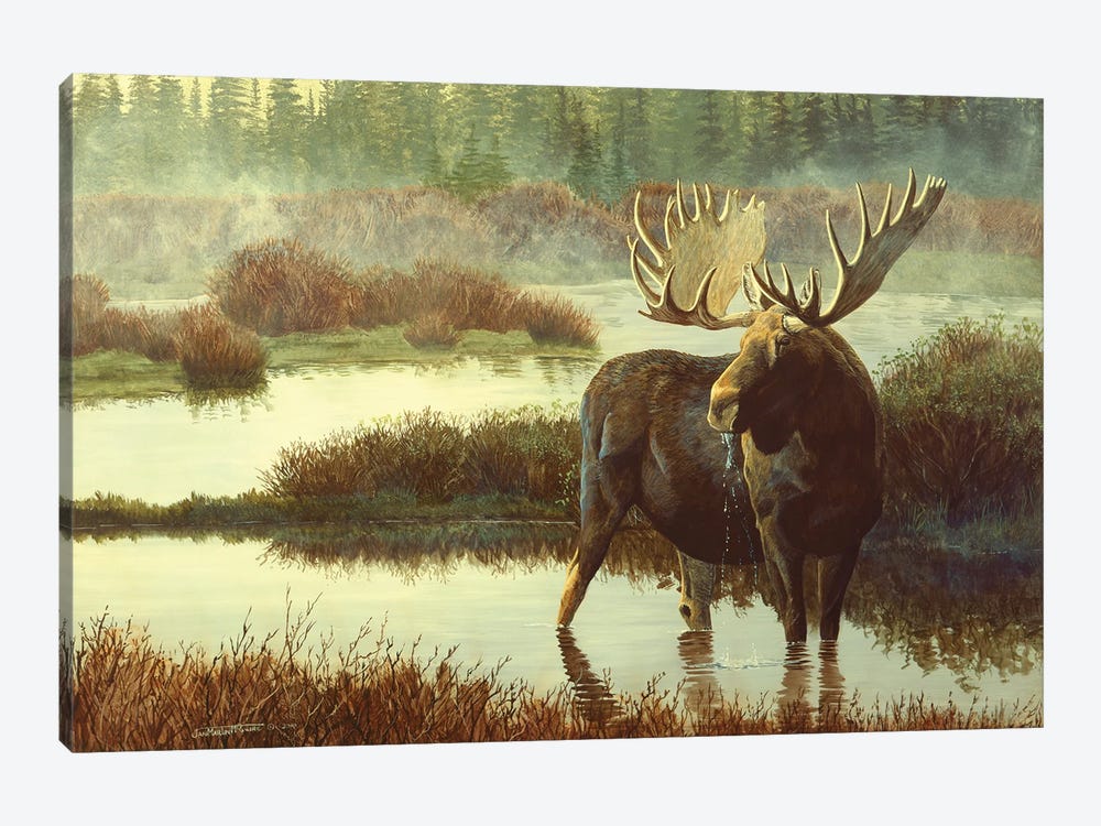 Moose by Jan Martin Mcguire 1-piece Art Print