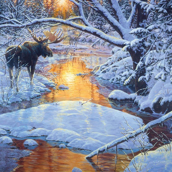 Moose: Moose XXIX by Jan Martin Mcguire