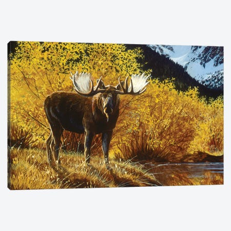 Moose IV Canvas Print #MGU15} by Jan Martin Mcguire Canvas Artwork