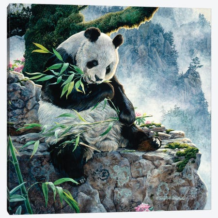 Panda I Canvas Print #MGU17} by Jan Martin Mcguire Canvas Art