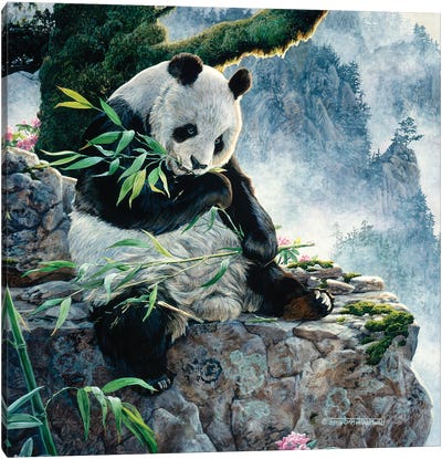 Panda I Canvas Art Print