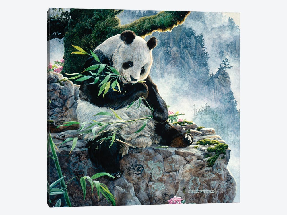Panda I 1-piece Canvas Wall Art