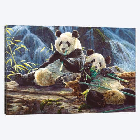 Panda III Canvas Print #MGU19} by Jan Martin Mcguire Canvas Print